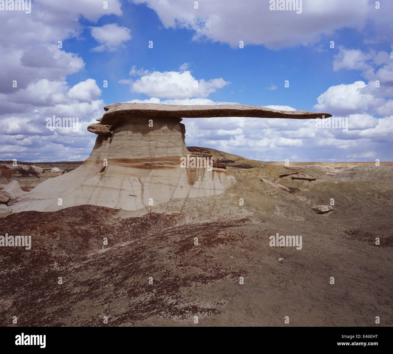 King of Wings Stock Photo Alamy