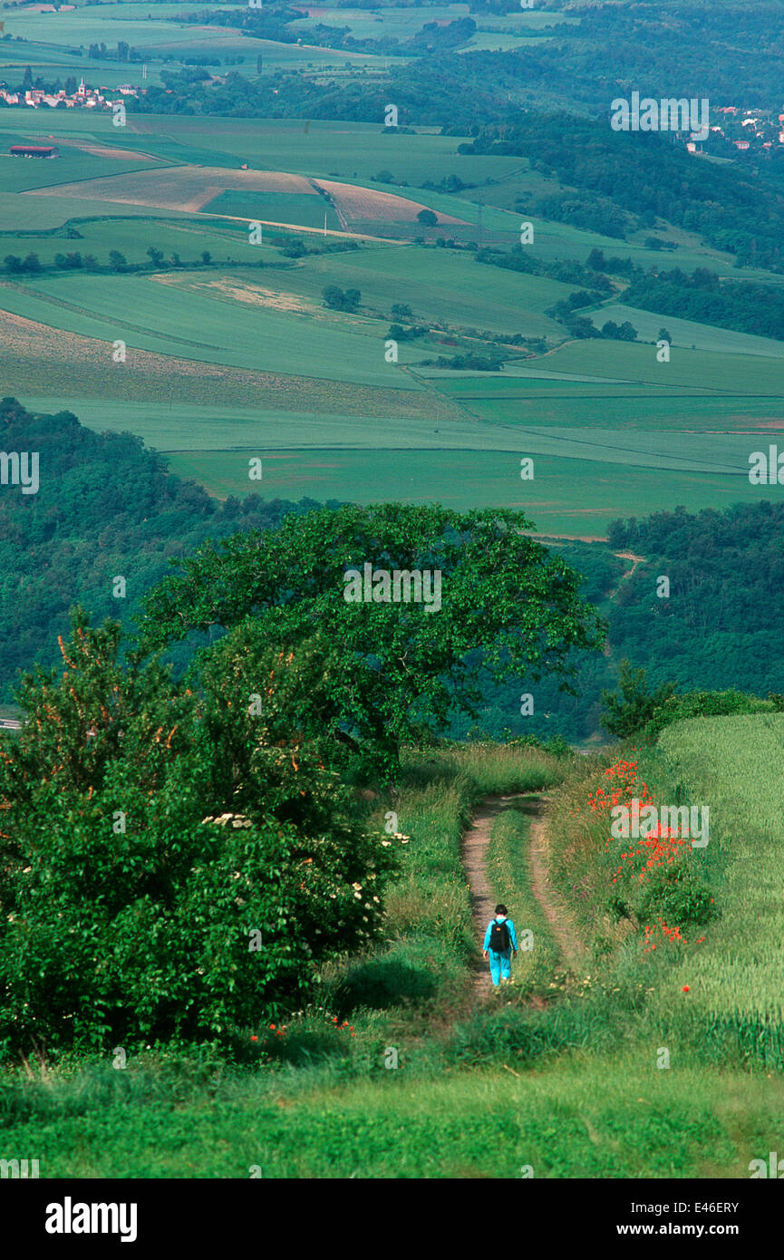 Woman walking in the countryside, Limagne, Auvergne, France Stock Photo