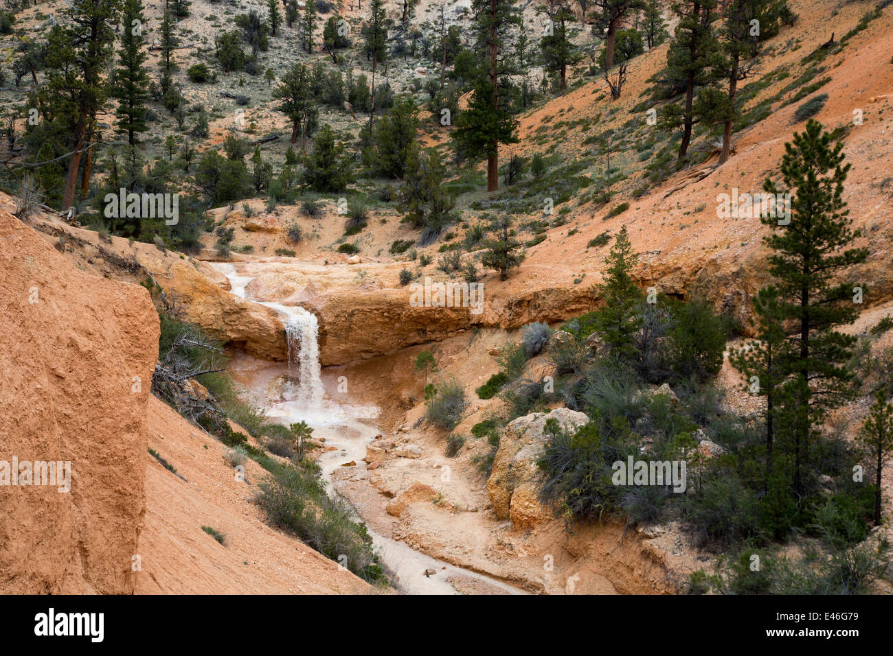 Water Canyon in Bryce Canyon National Park. Stock Photo