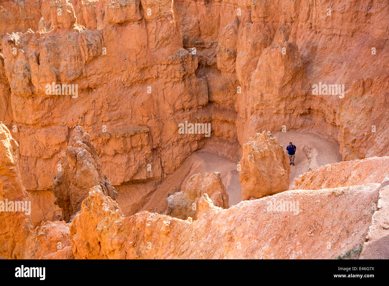 Tropic, Utah - A hiker on the Navajo Loop Trail in Bryce Canyon National Park. Stock Photo