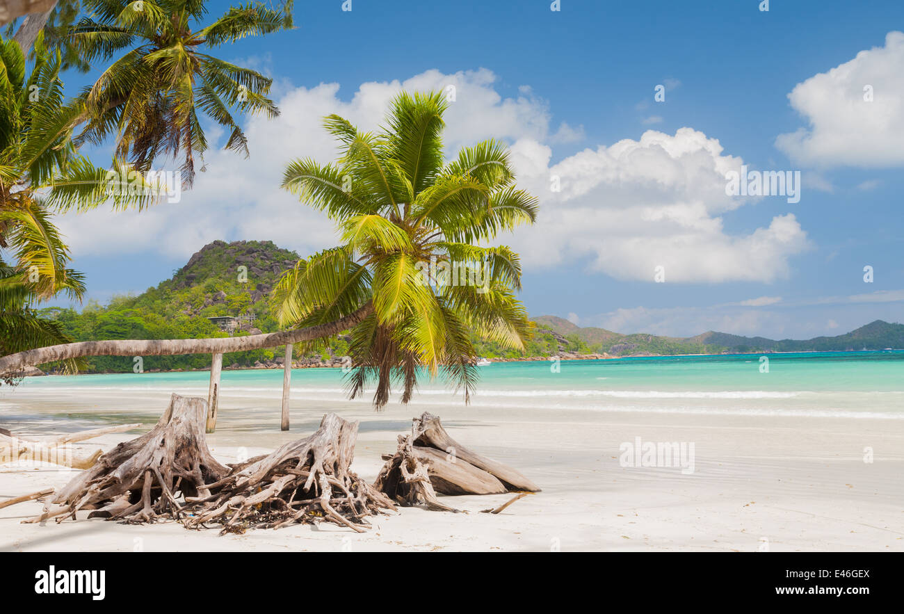 Stunning Tropical Beach Scene Stock Photo