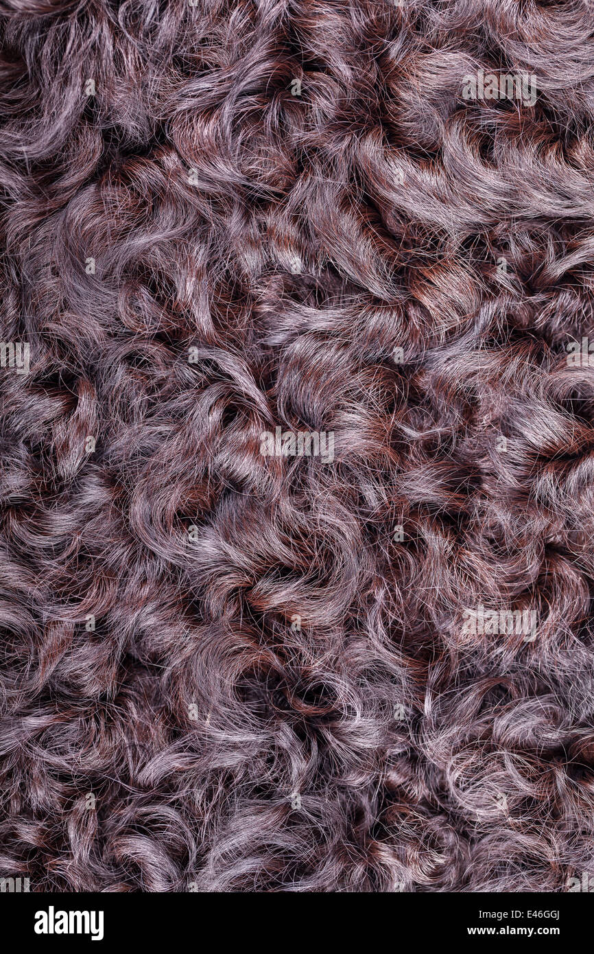Karakul fur texture Stock Photo
