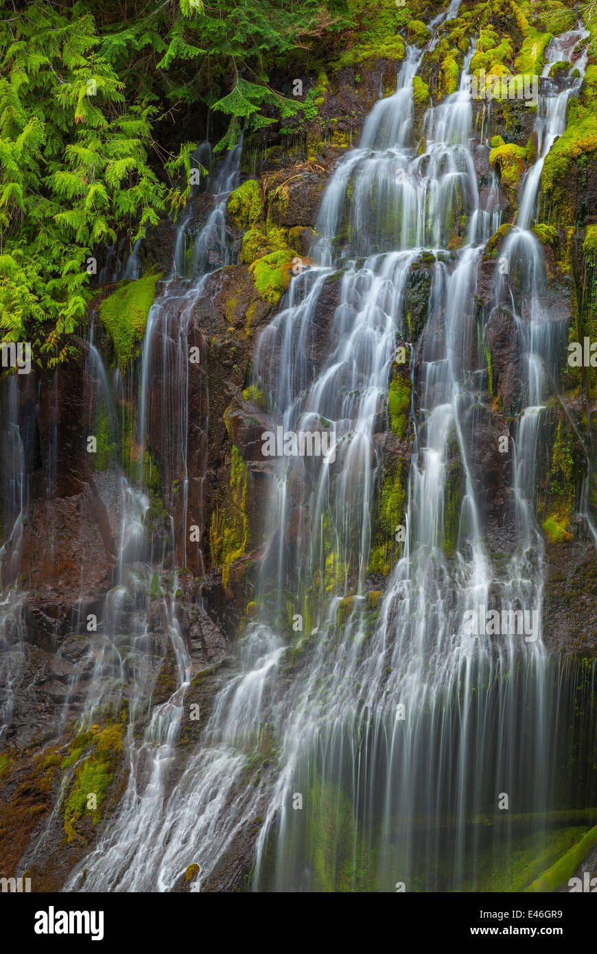 Gifford Pinchot National Forest, WA Panther Creek Falls Stock Photo