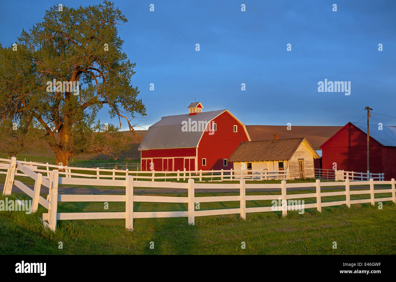 The Palouse, Whitman County, WA Red barn and farm scene in evening