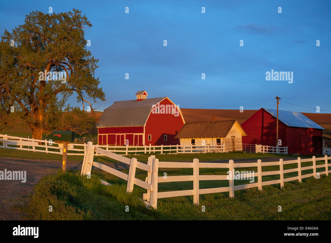 The Palouse, Whitman County, WA: Red barn and farm scene in evening light with clearing storm clouds Stock Photo