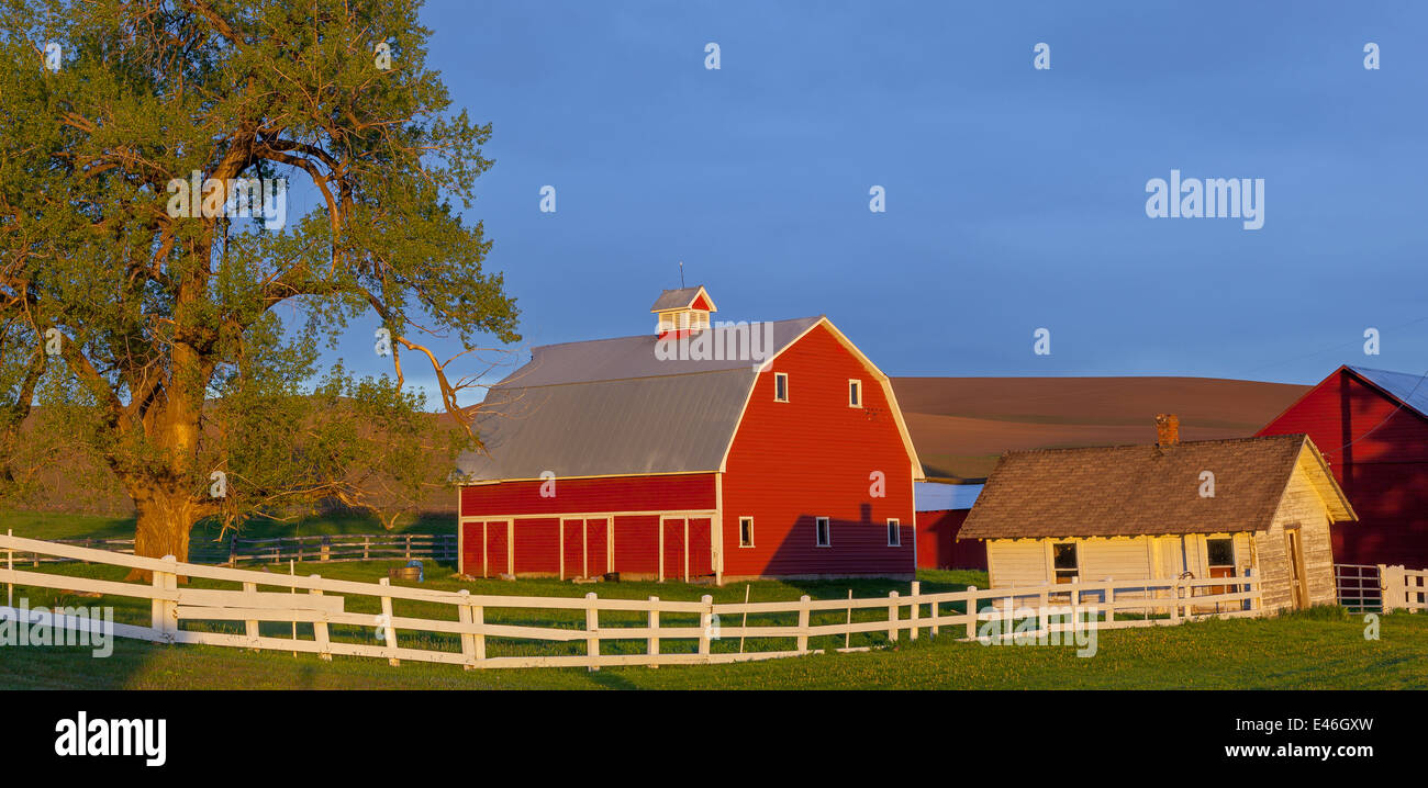 The Palouse, Whitman County, WA: Red barn and farm scene in evening light with clearing storm clouds Stock Photo