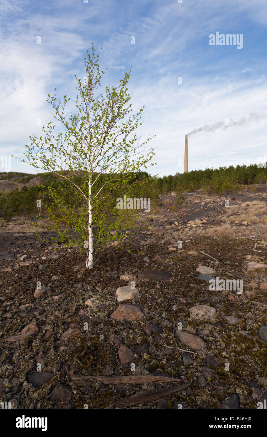 Pollution has blackened exposed rock in Sudbury near the Vale Mining operations. The superstack can be seen in the background. Stock Photo