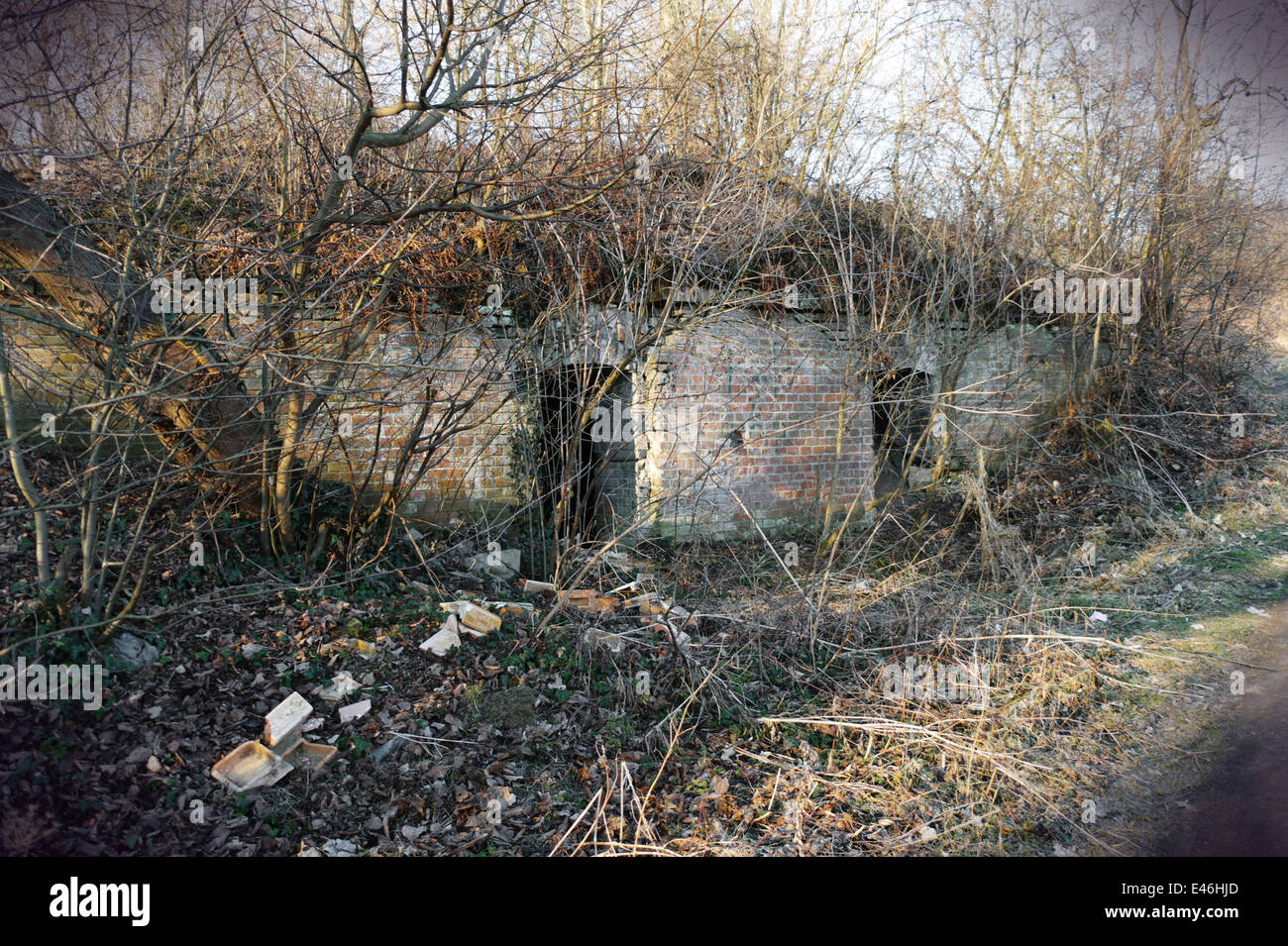 ruined fort in Przemysl Poland Stock Photo