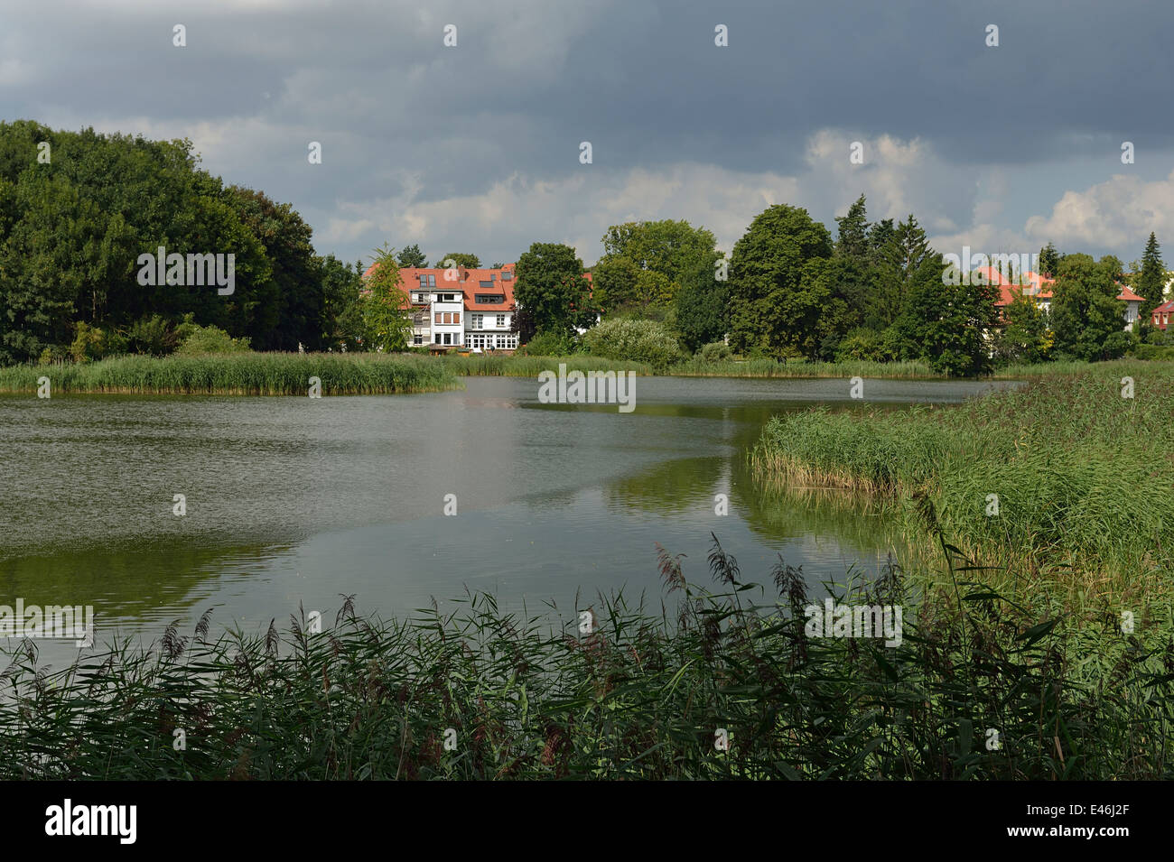 Knieper-Teich lagoon Stralsund Germany Stock Photo