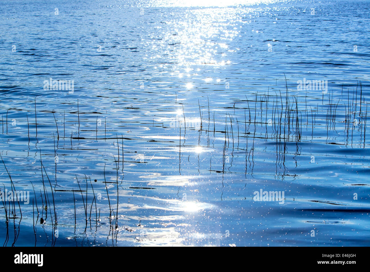 Clean water in lake. Stock Photo