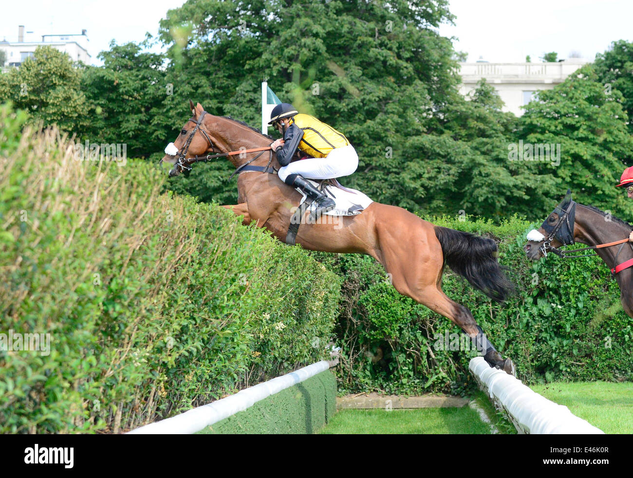 Auteuil Hippodrome Paris France 25th June 2014 Race 3 Shows auteuil-hippodrome-paris-france-25th-june-2014-race-3-shows