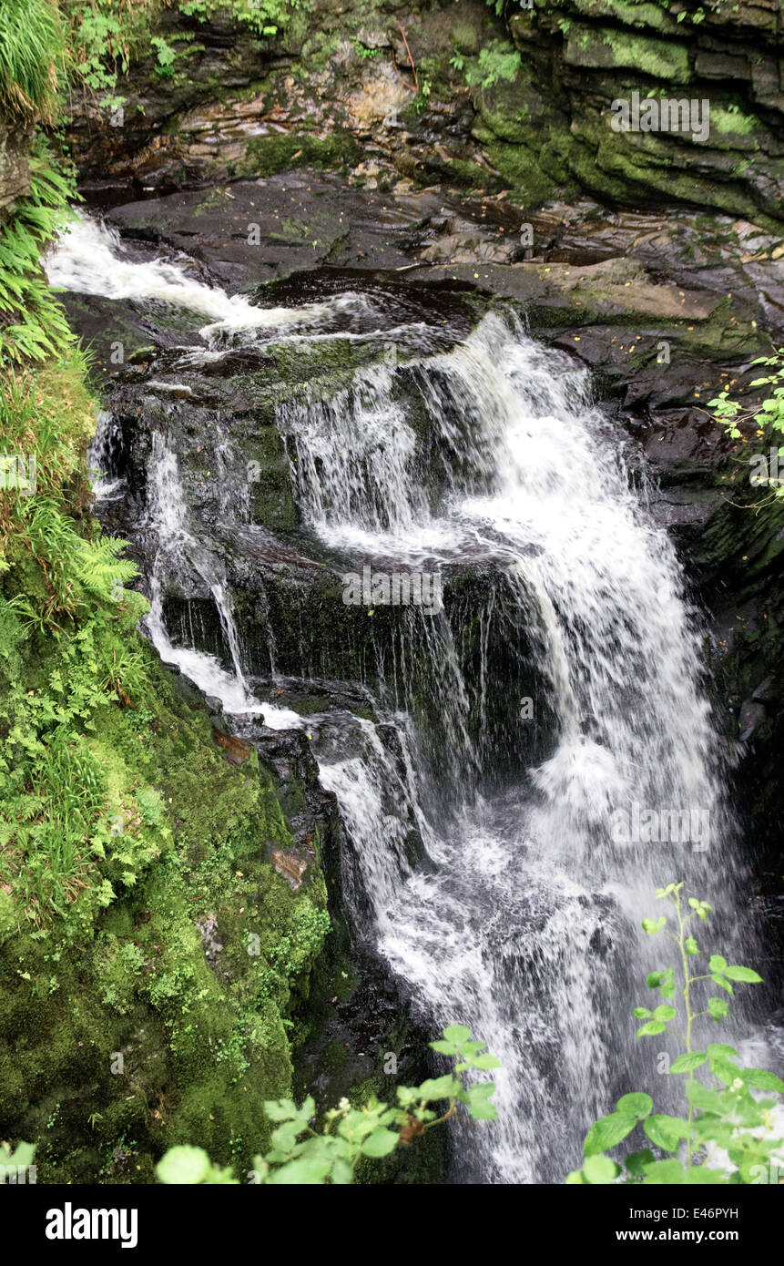 Cynfal Waterfall, Llan Ffestiniog, Gwynedd Stock Photo Alamy