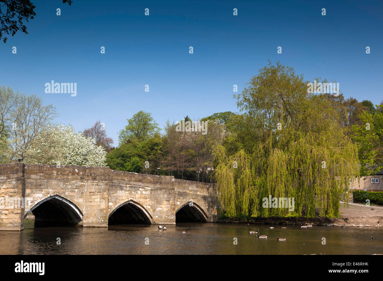 UK, Derbyshire, Peak District, Bakewell, ancient stone bridge crossing River Wye Stock Photo