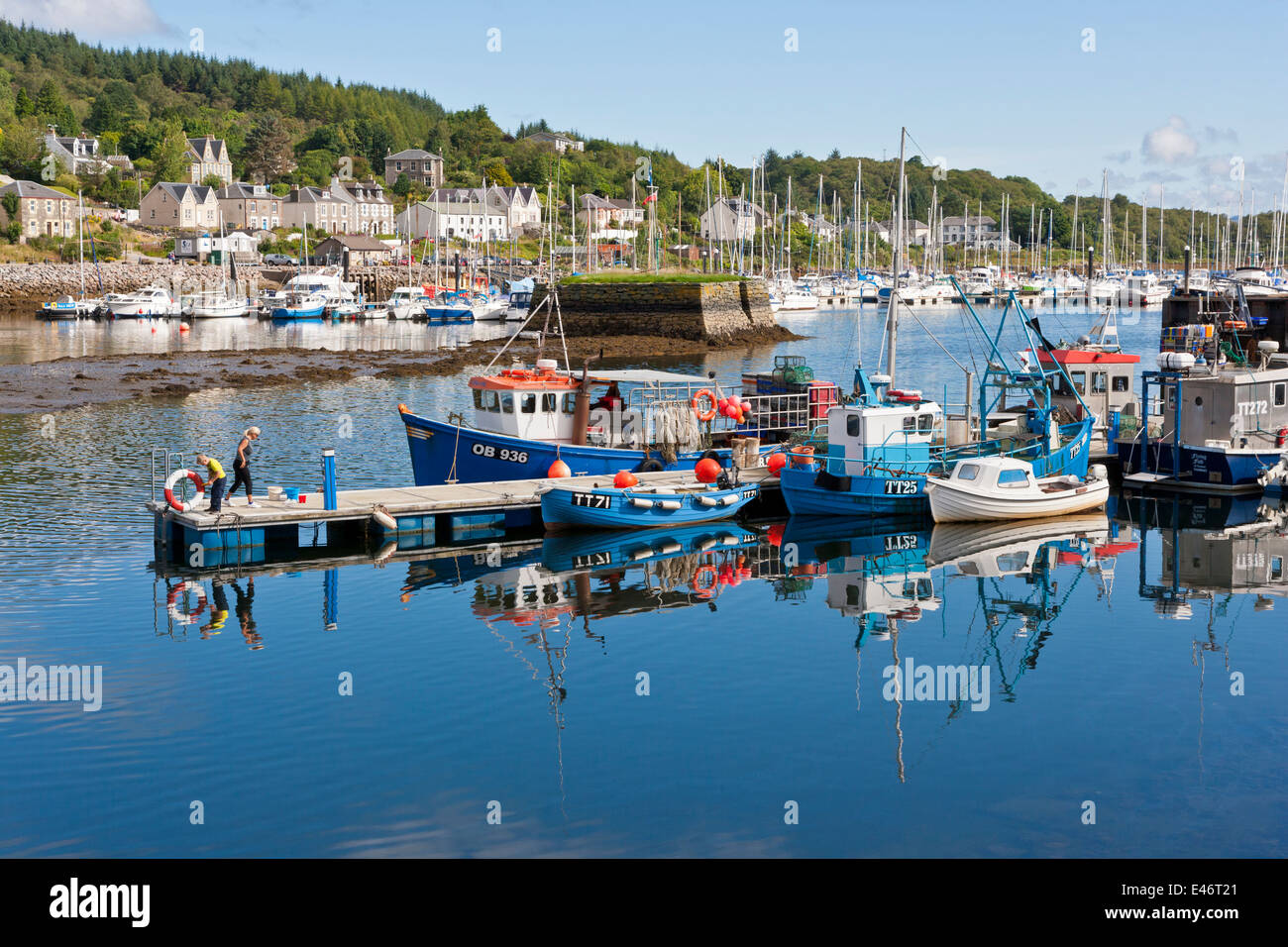 Tarbert Harbour on Loch Fyne in Argyll and Bute;Scotland Stock Photo