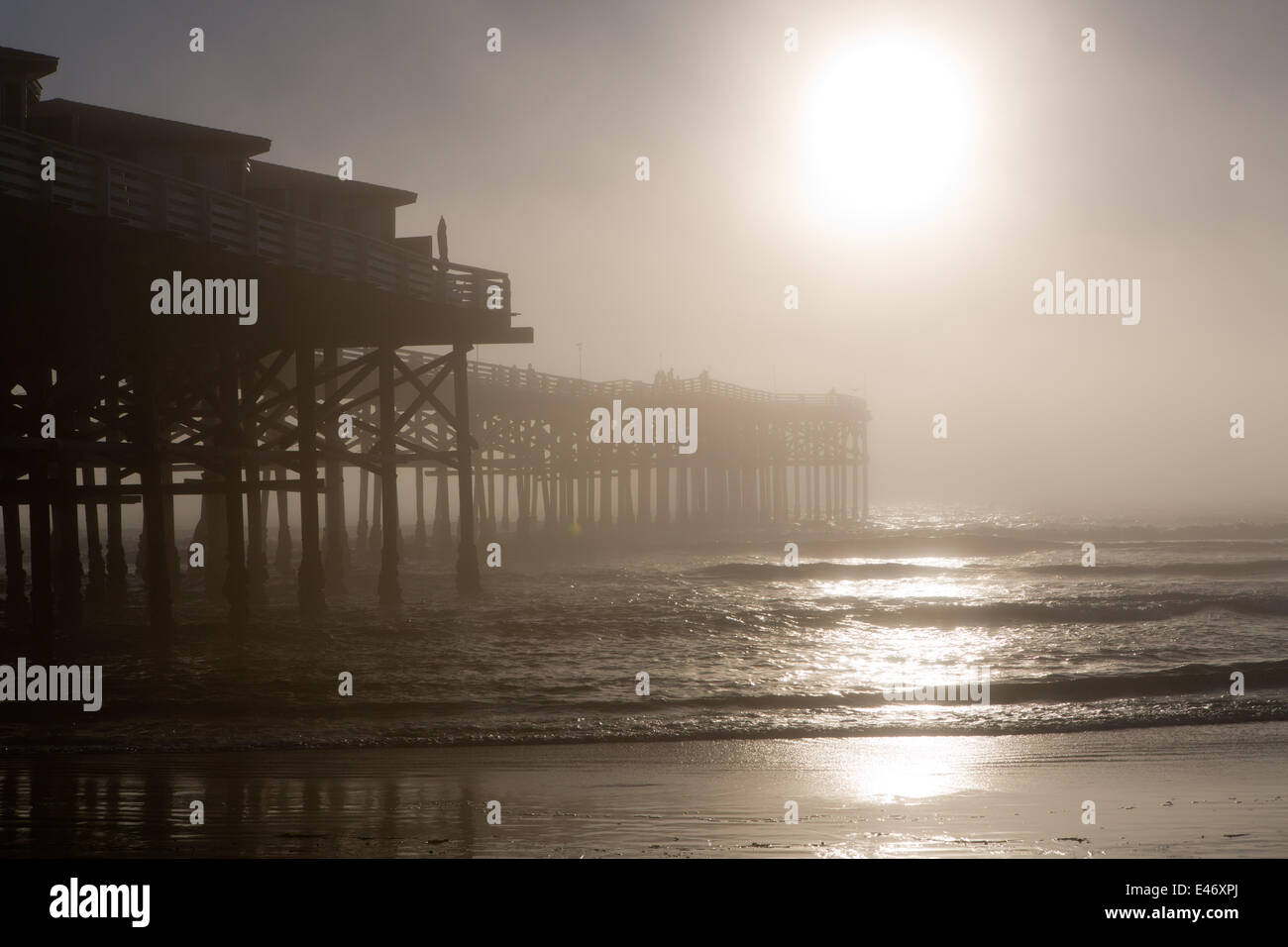 Crystal Pier almost disappears in the fog, illuminated by the late afternoon sun. Stock Photo