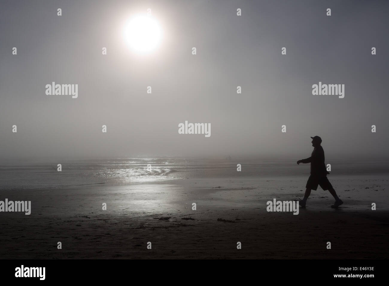 Silhouette of a walker at the foggy Pacific shore, illuminated by the sun, in February 2014. Stock Photo