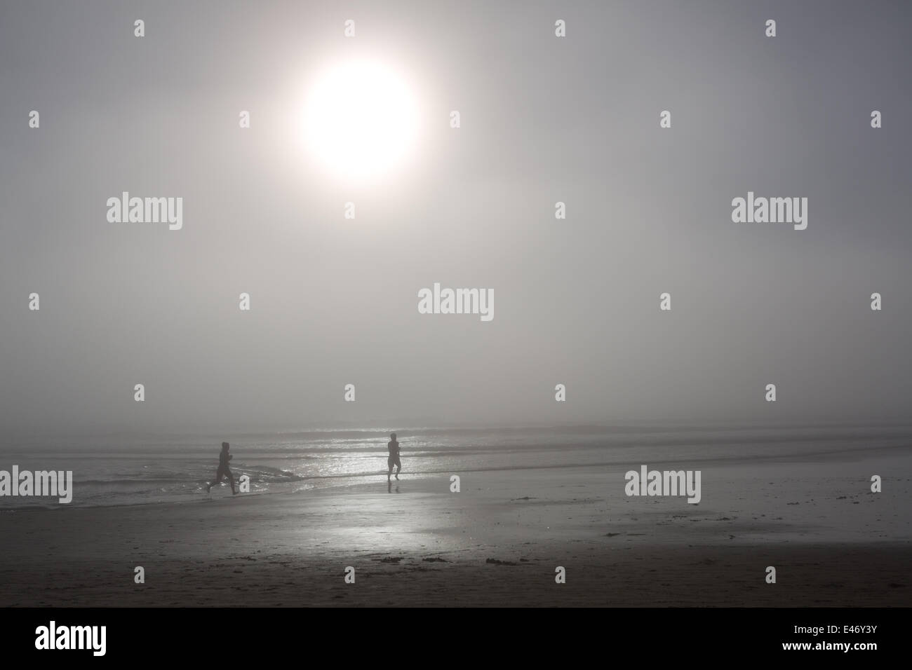 Silhouette of runners at the foggy Pacific shore, illuminated by the sun, in February 2014. Stock Photo