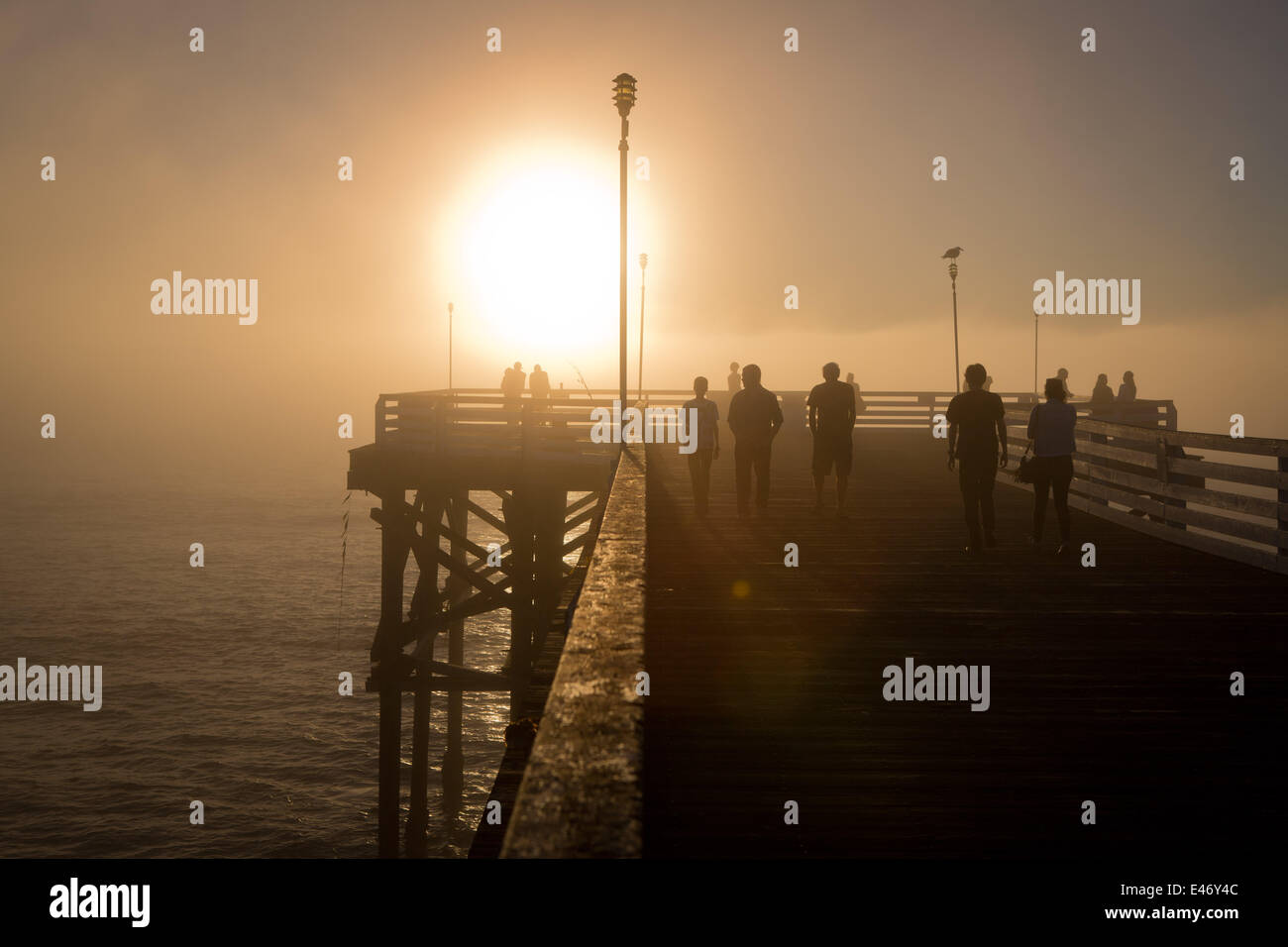 Crystal Pier in the fog, illuminated by the late afternoon sun. Stock Photo