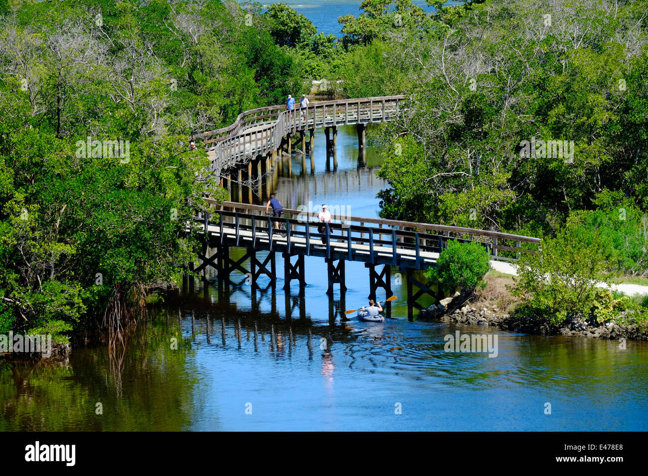 Walking Trail Boardwalk Robinson Preserve Nature Bradenton Florida FL