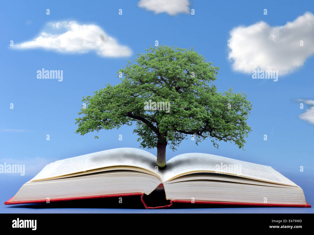the tree of knowledge concept Stock Photo