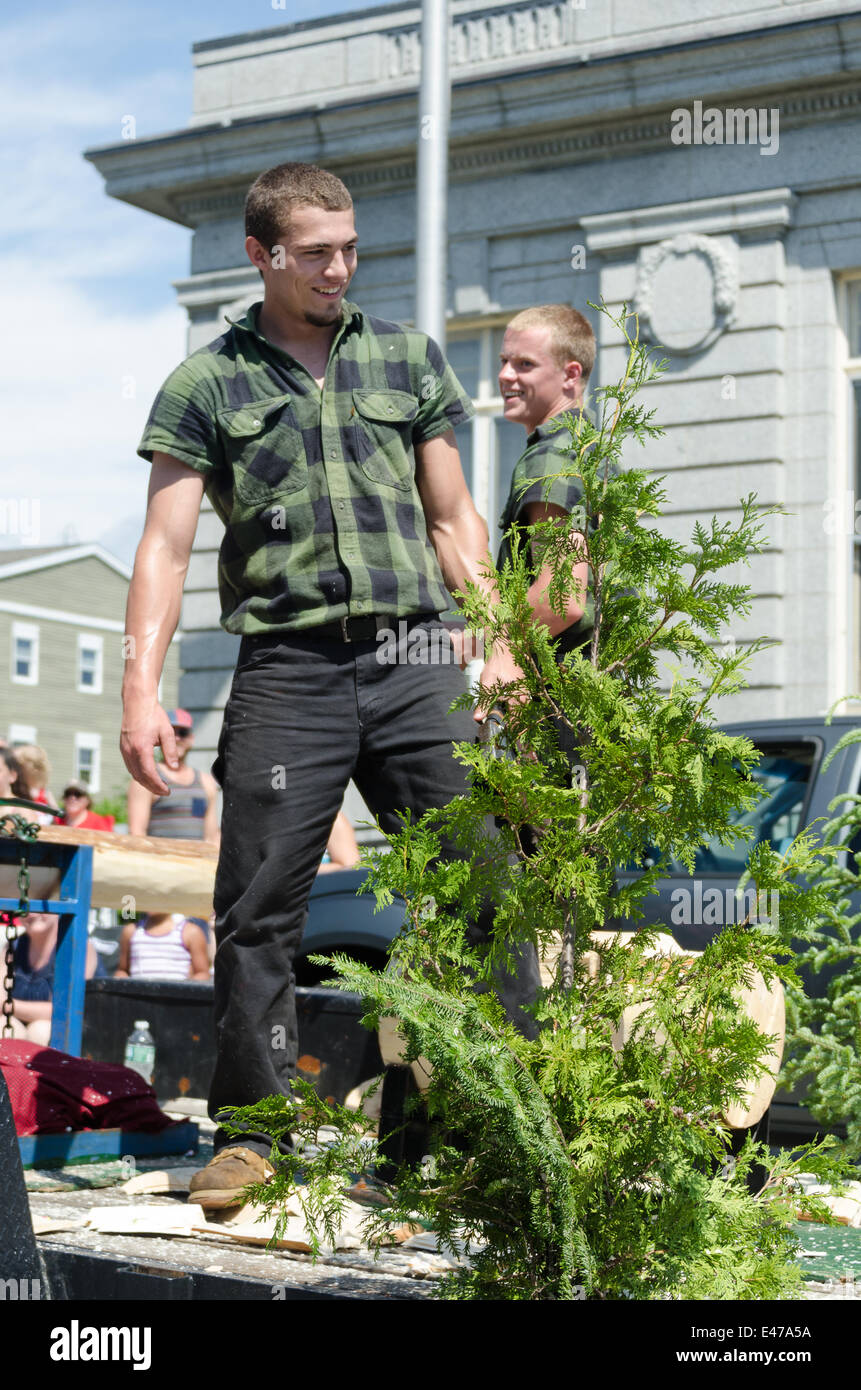 Lumberjack lumberjacks hires stock photography and images Alamy