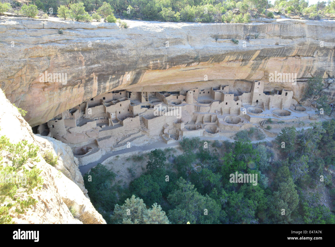 Cliff Palace, Mesa Verde National Park Stock Photo - Alamy