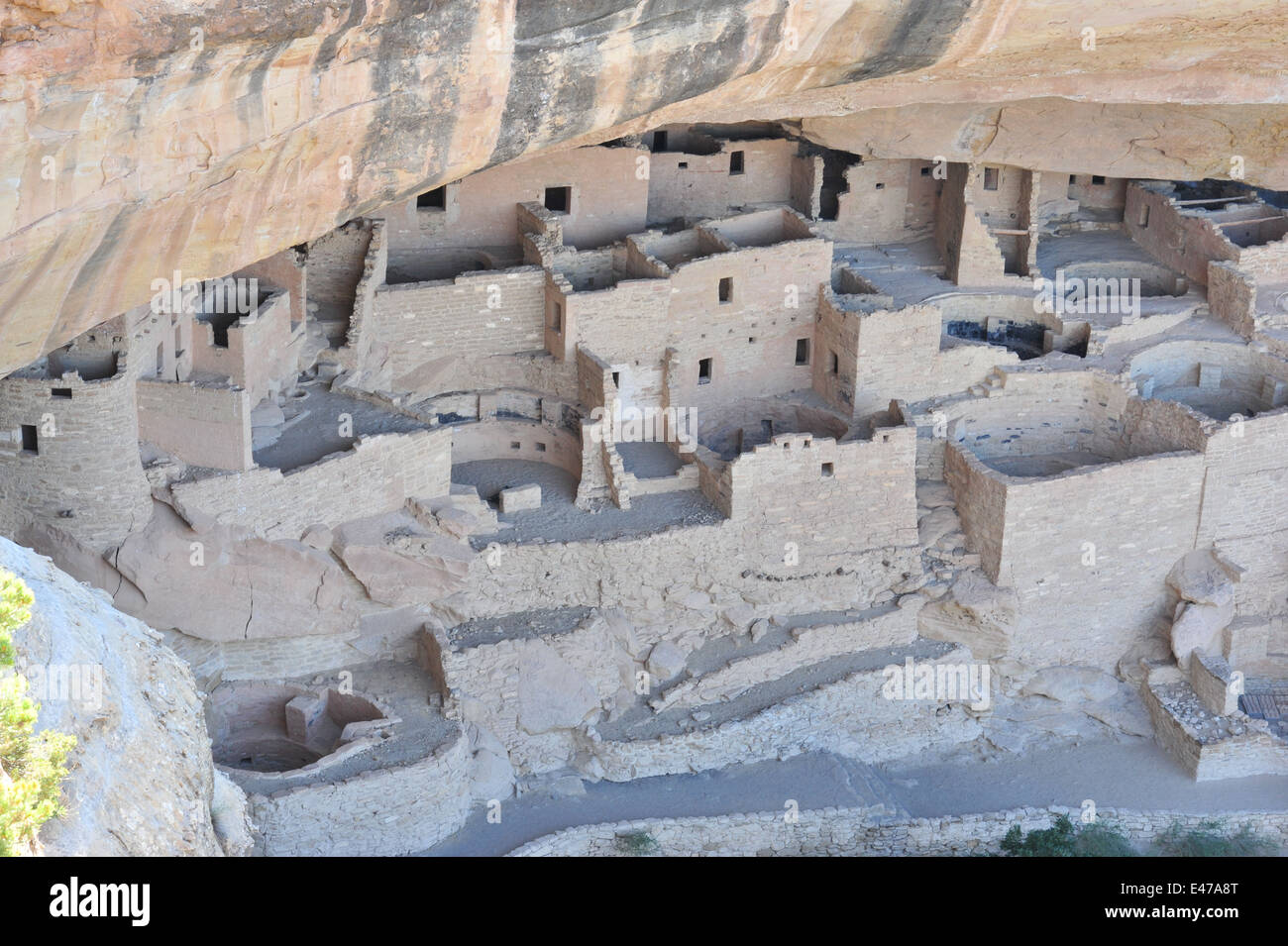Cliff Palace, Mesa Verde National Park Stock Photo - Alamy