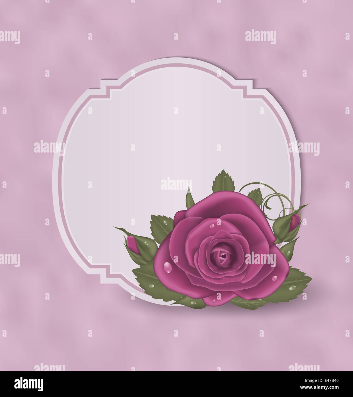 Illustration vintage card with pink roses - vector Stock Photo - Alamy