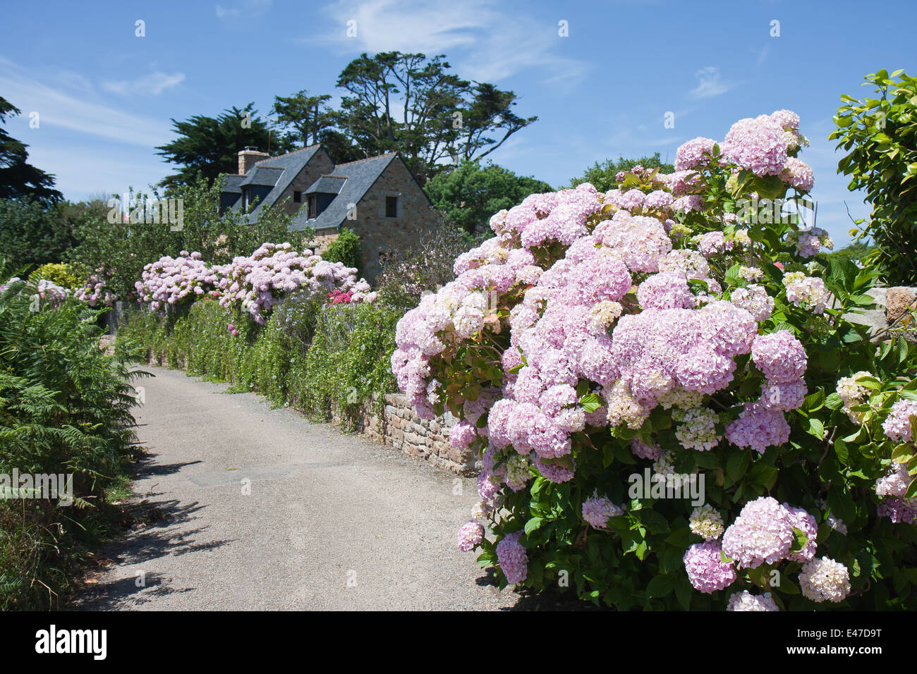 Old traditional house  with garden in bretagne, France Stock Photo