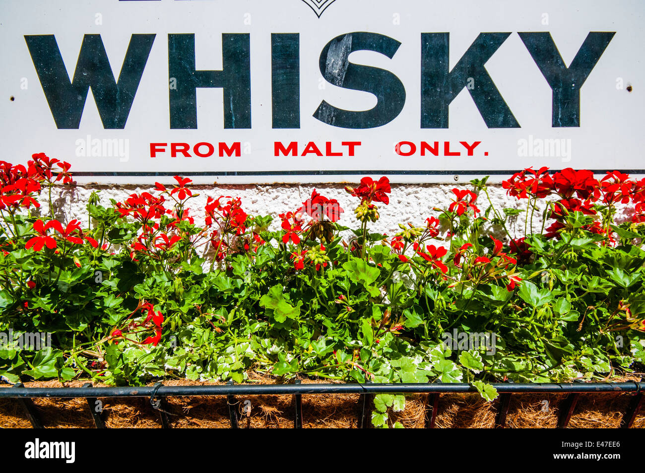Sign saying 'Whisky from malt only' above a basket of red geraniums Stock Photo