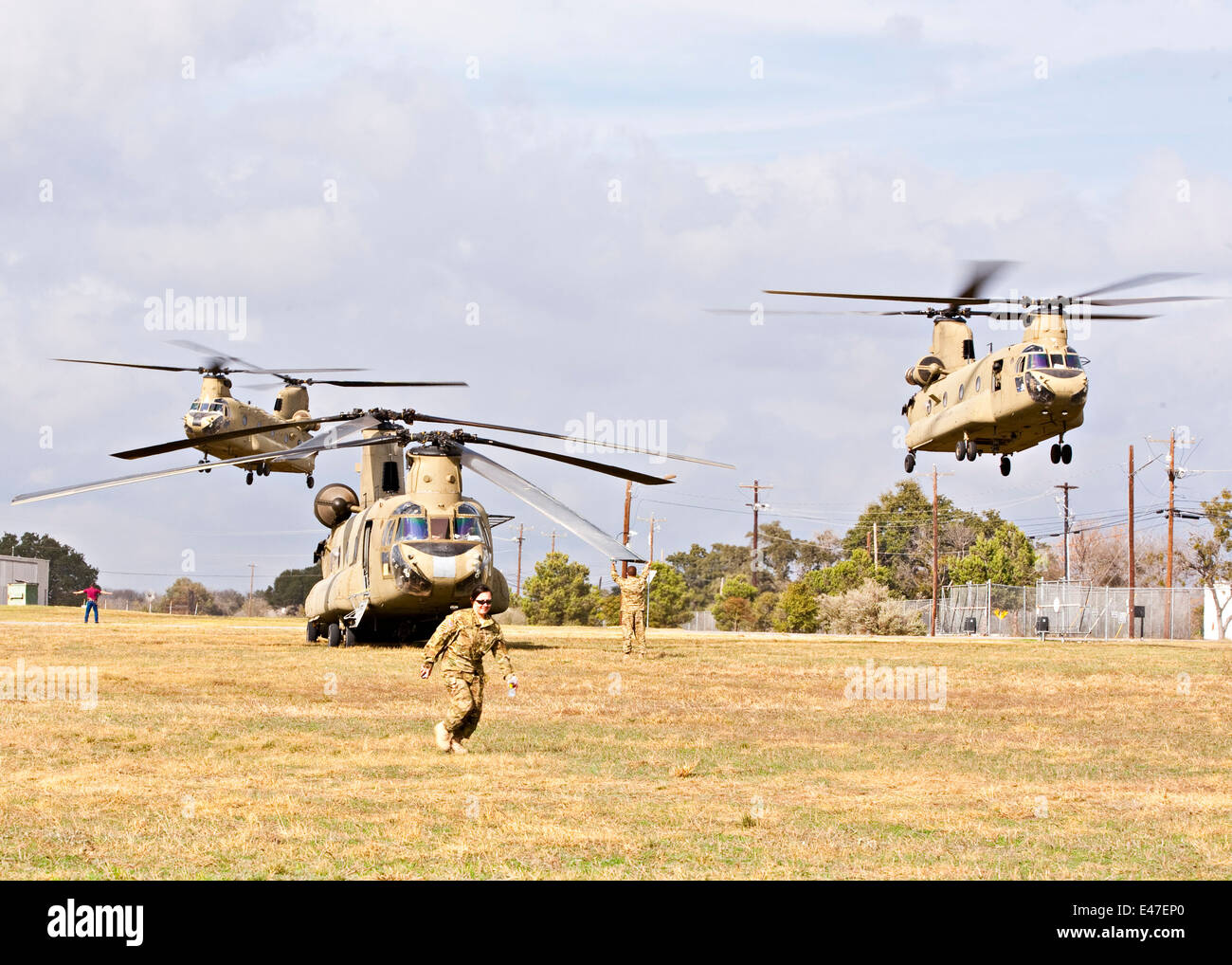 Three US Army Chinook helicopters landing Stock Photo Alamy