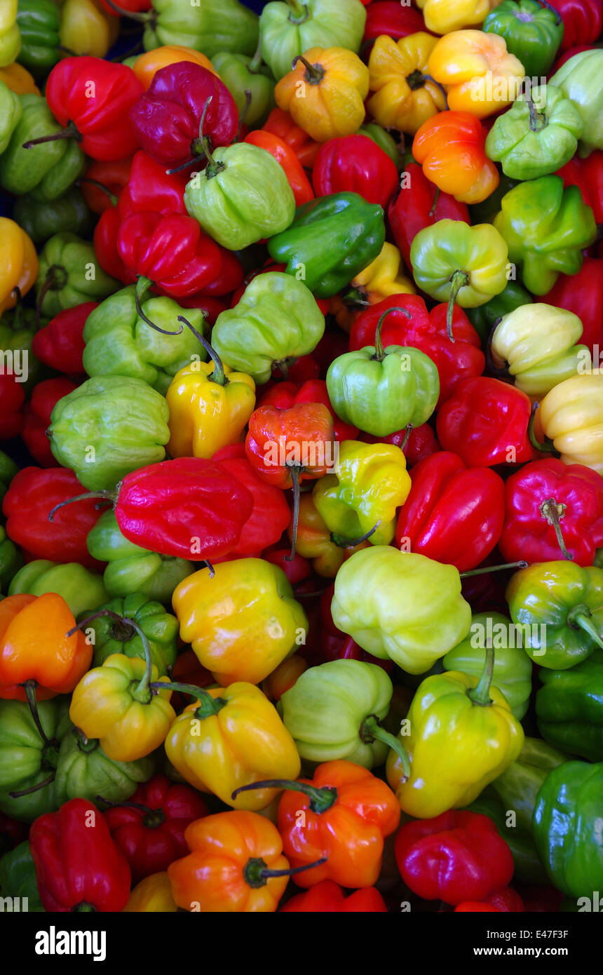 colorful chili peppers being displayed in boxes for sale in a market ...