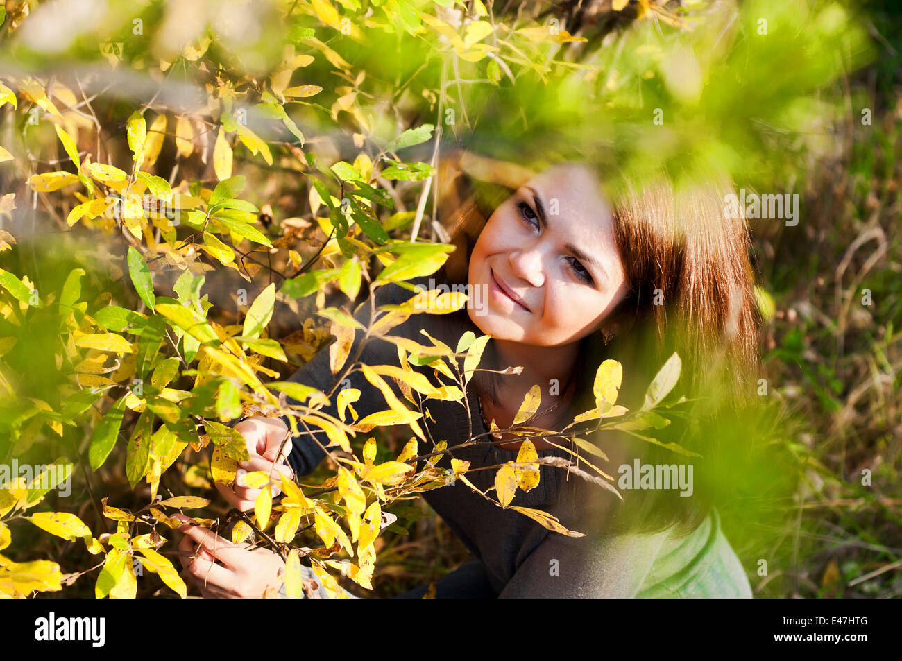 Pretty white brunette young woman is looking out the yellow bush. It is autumn Stock Photo