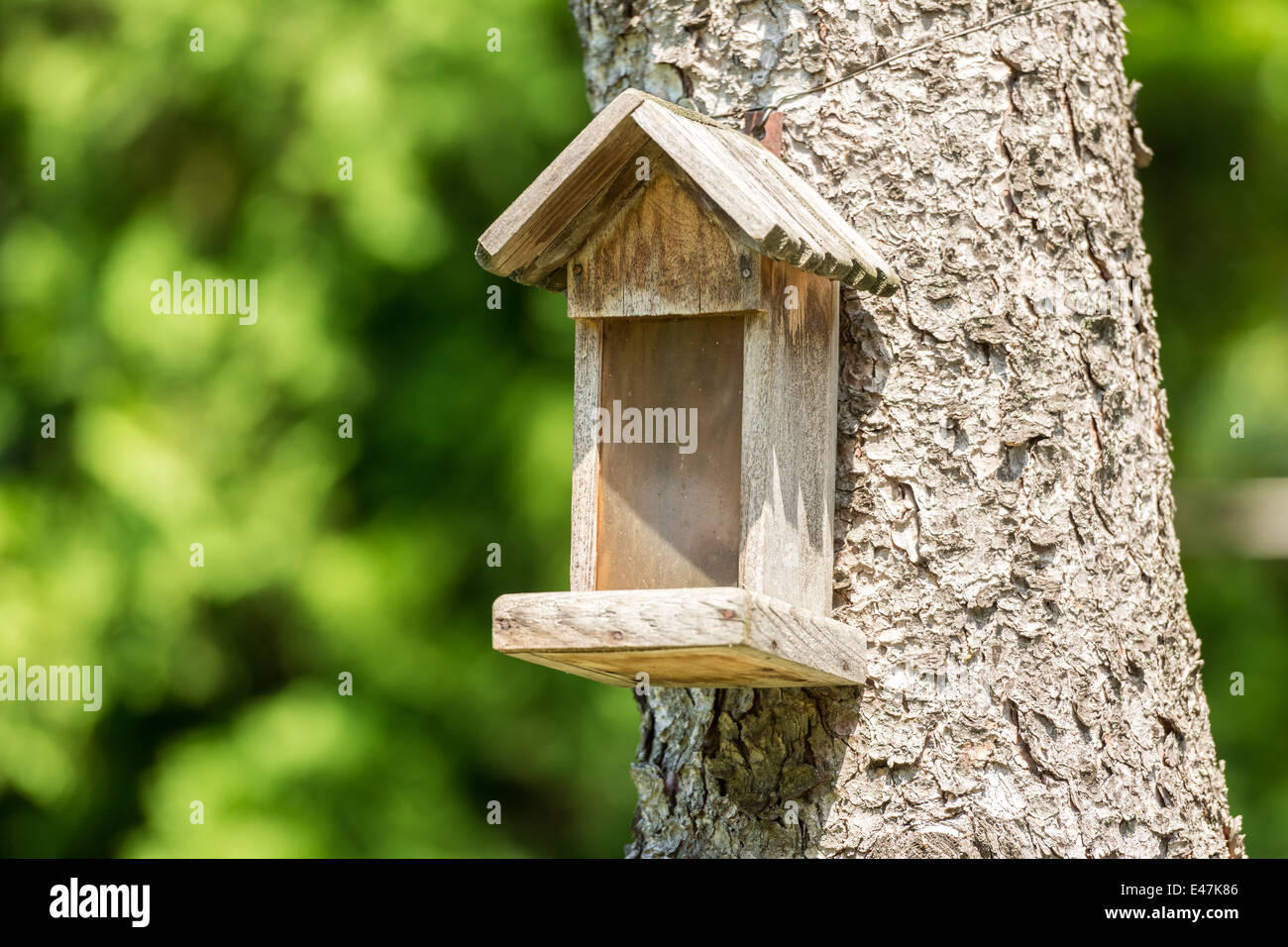 Small Bird House On Tree Stock Photo