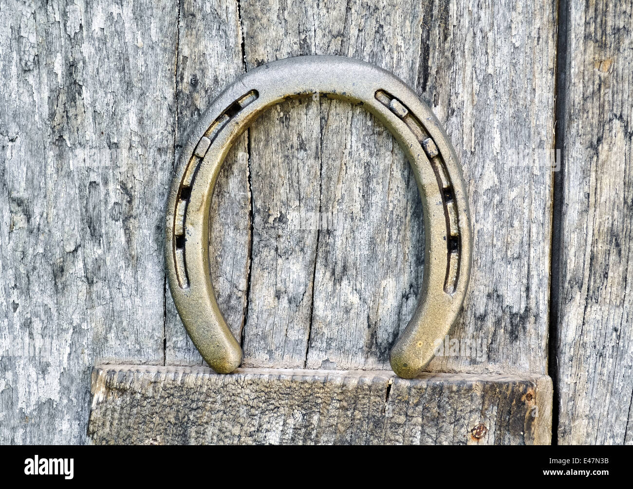A horseshoe on an old wooden door for good luck Stock Photo Alamy