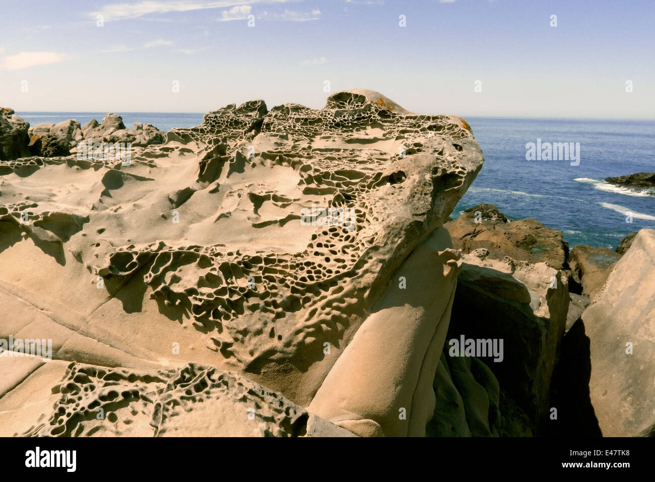 Sand stone erosion example at Salt Point State Park, Sonoma California coast known as 'tafoni' Stock Photo