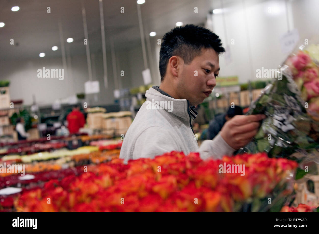 Flower Wholesale Market Stock Photo Alamy