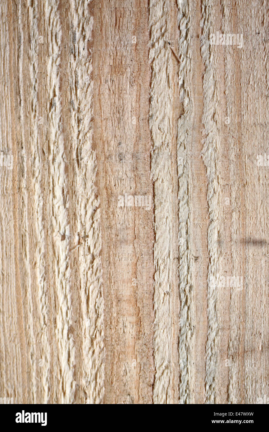 Surface of wall wood for the background. Stock Photo