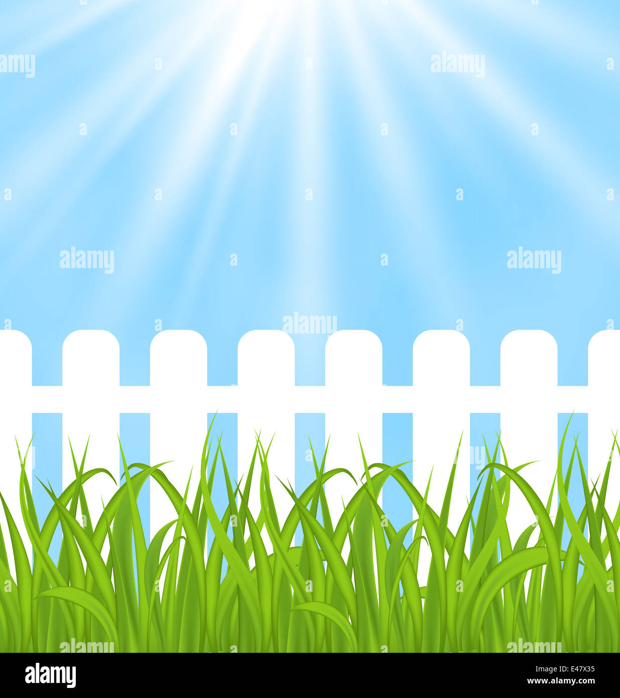 Illustration fresh green grass over wood fence background - vector ...