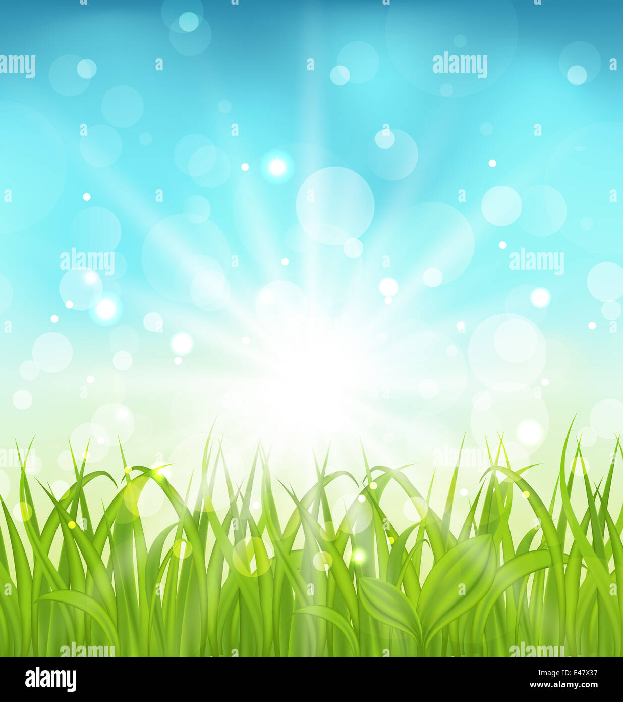 Illustration spring nature background with grass - vector Stock Photo ...