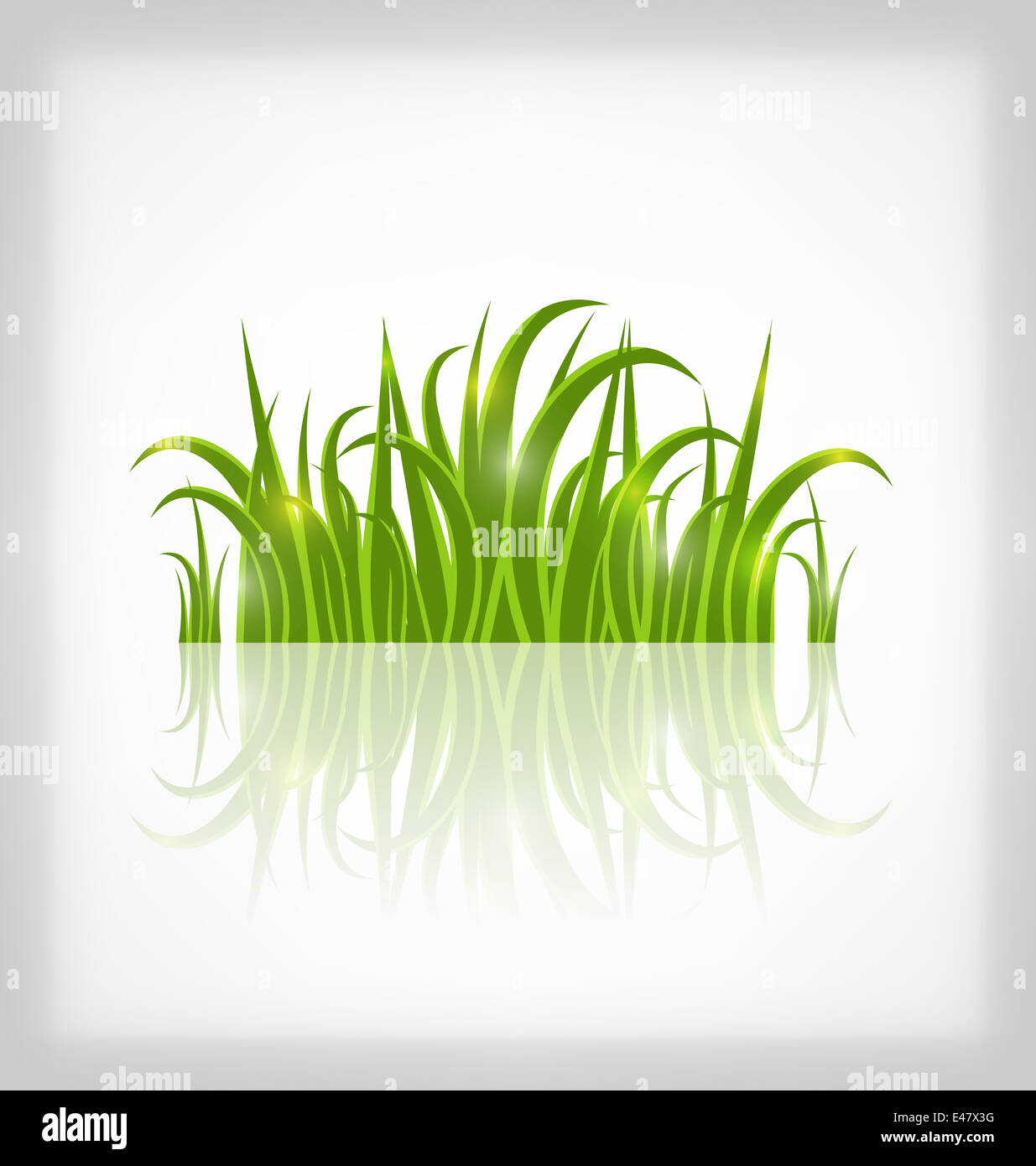 Illustration green grass with reflection, isolated on white background ...