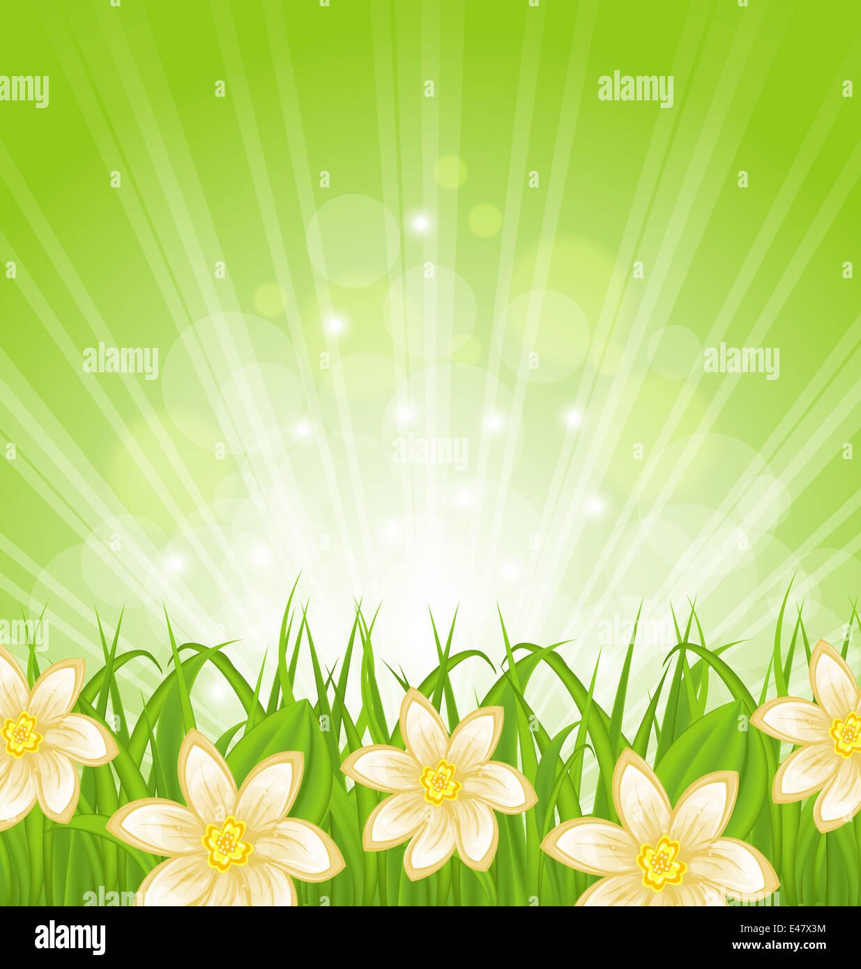Illustration spring background with green grass and flowers - vector ...
