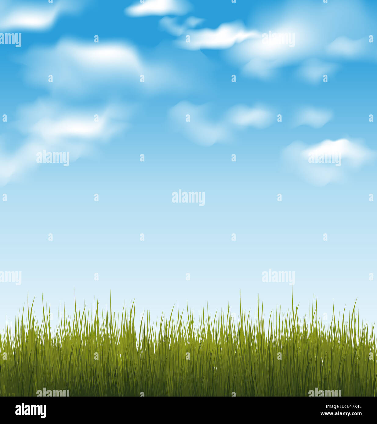 Illustration spring background with green grass and sky - vector Stock ...