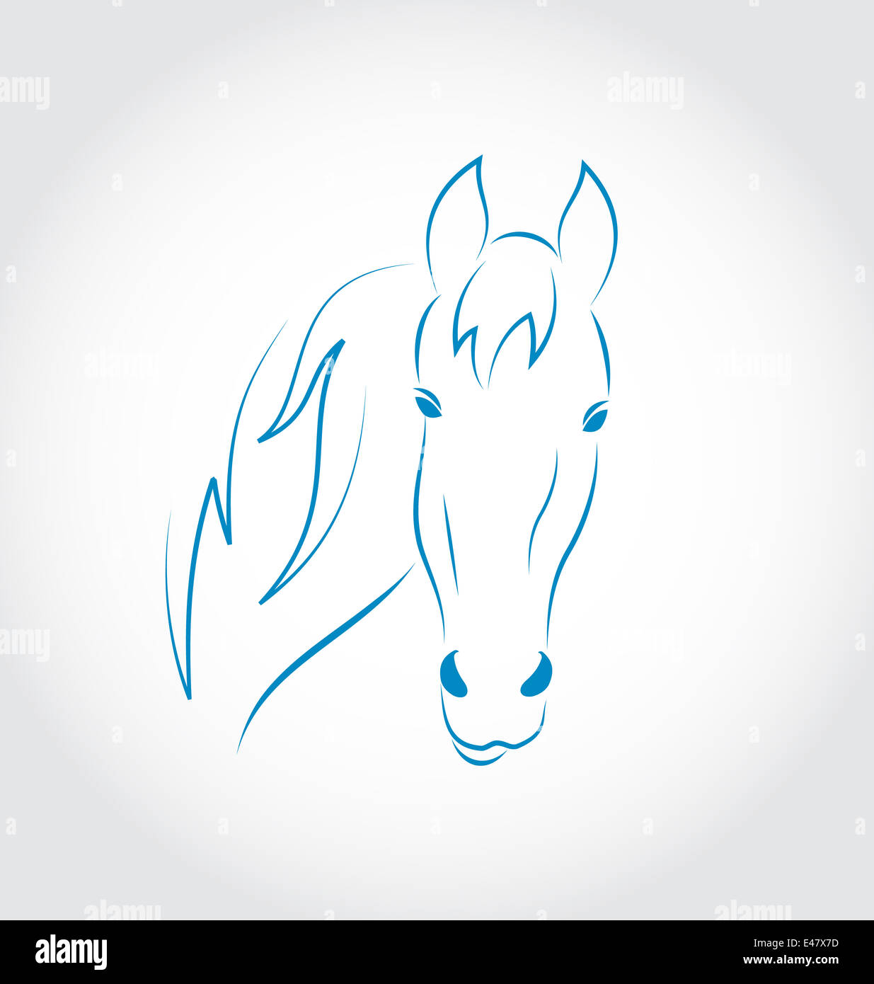 Illustration hand drawn head horse isolated on white background ...