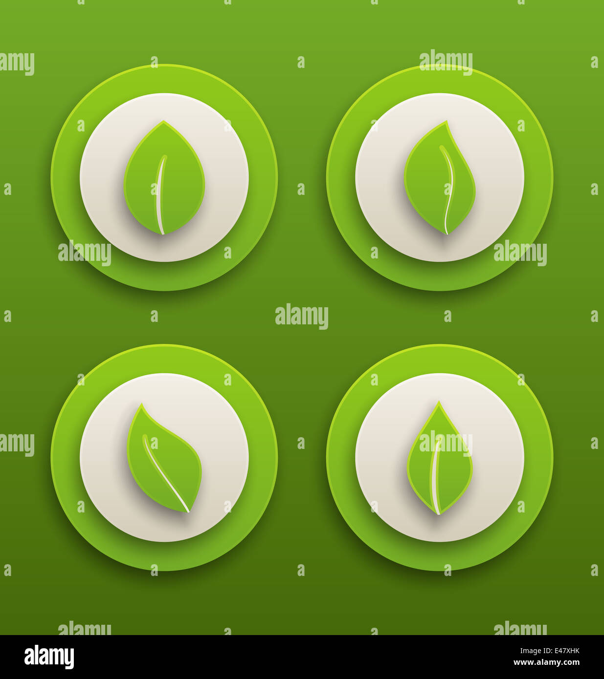 Illustration set label with different green leaves - vector Stock Photo ...
