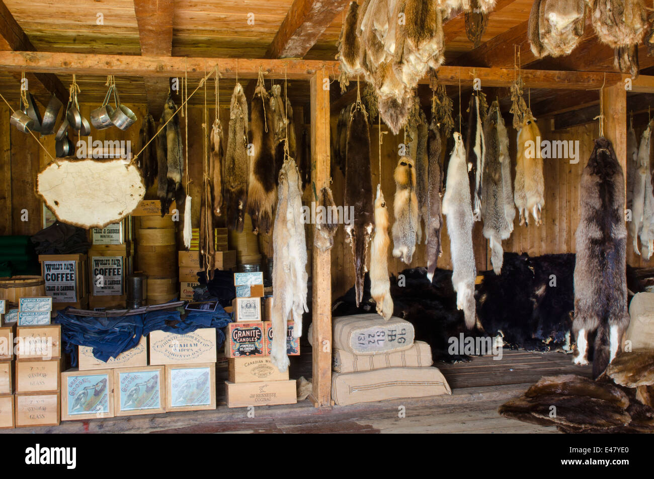 Furs pelts dry goods trapping supplies at trading post Fort Saint St James  National Historic Site, British Columbia, Canada Stock Photo - Alamy