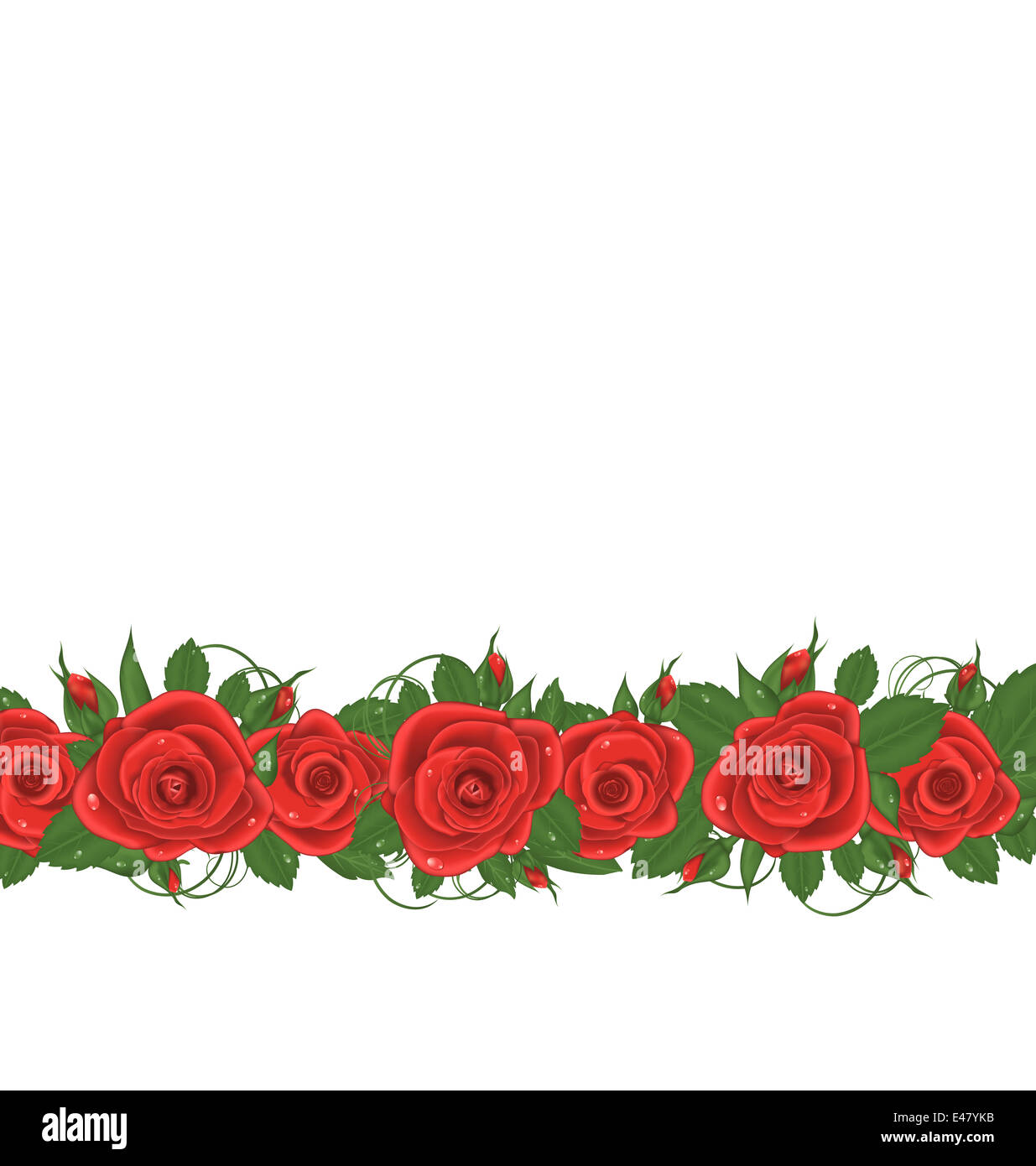 Illustration horizontal border with red roses - vector Stock Photo - Alamy