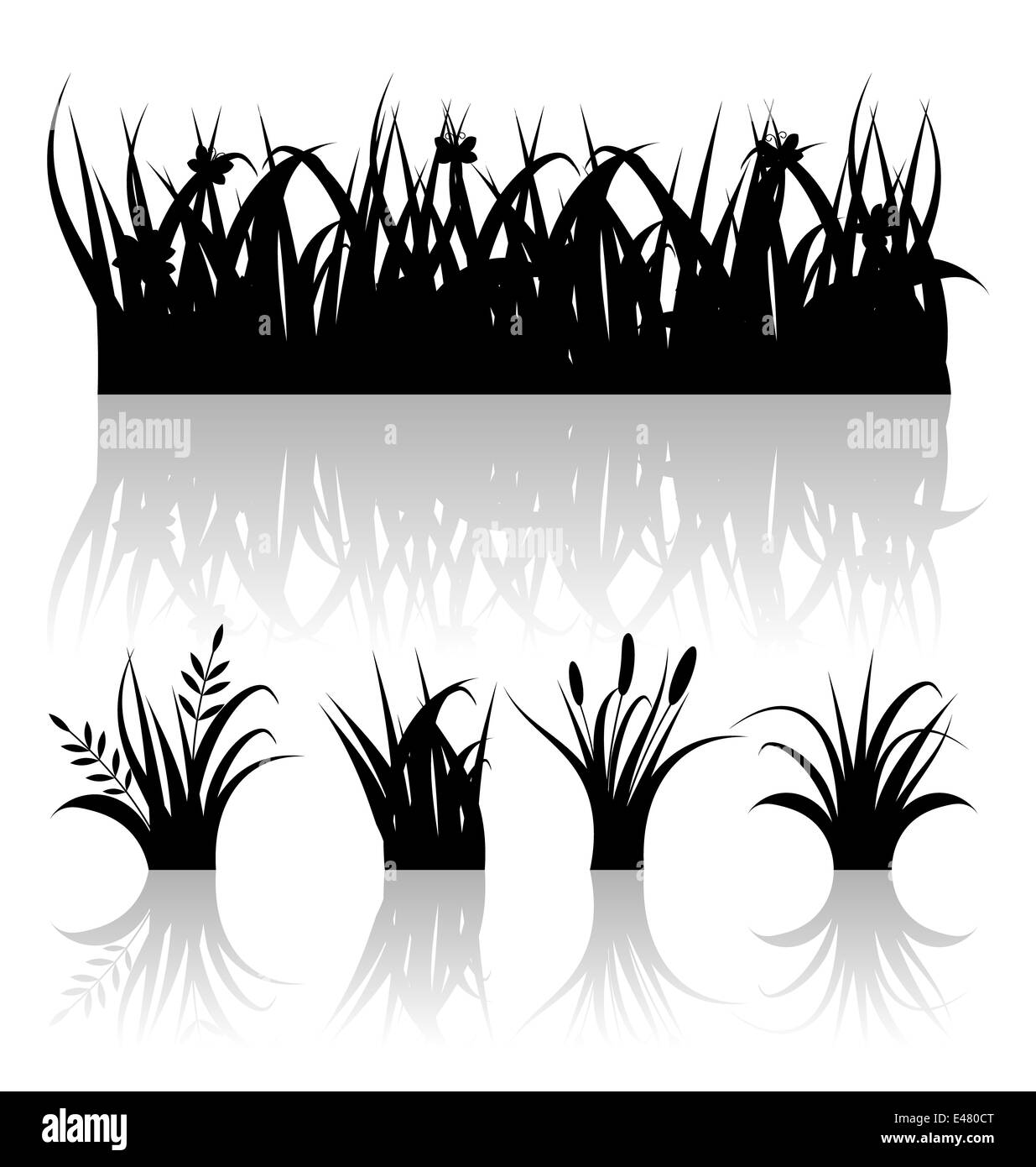 Grass silhouette Black and White Stock Photos \u0026 Images - Alamy, image size:1235x1390