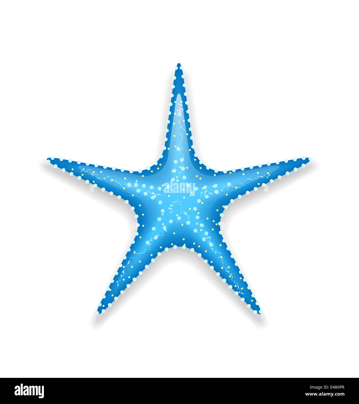 Illustration blue starfish isolated on white background - vector Stock ...