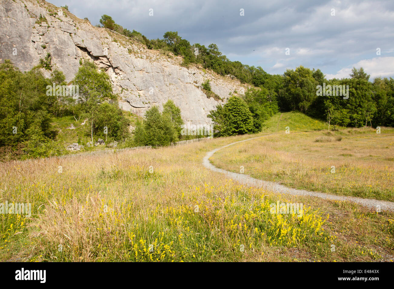 Warton Crag (quarry) butterfly meadow Stock Photo